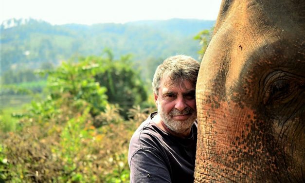 Bodo Förster: Ja zum Elefanten im Tourismus