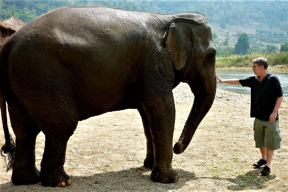 Elefanten in Thailand – mein erstes Mal