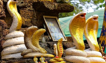 Chiang Mai: Wat Jet Yod – Tempel der Schlangen